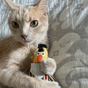 Meet your Posher, Paula